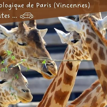 Elysian Paris-disney *